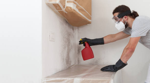 Professional Attic Mold Remediation technician working in Waverly, IL