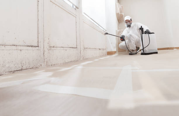 24/7 Emergency Attic Mold Remediation experts in Waverly, IL